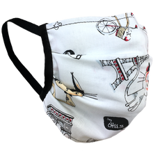 Load image into Gallery viewer, Paris Cats - Surgical Style Face Masks